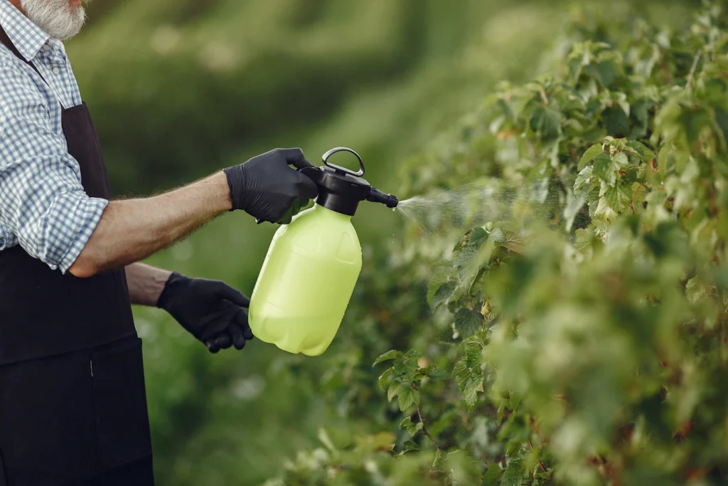 roundup cancer and health issues